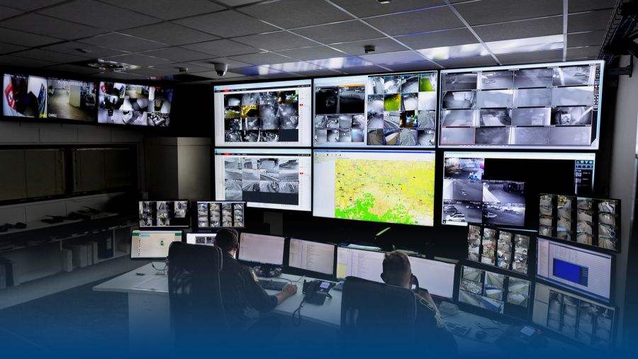 Cosa fa la vigilanza privata per la tua famiglia?