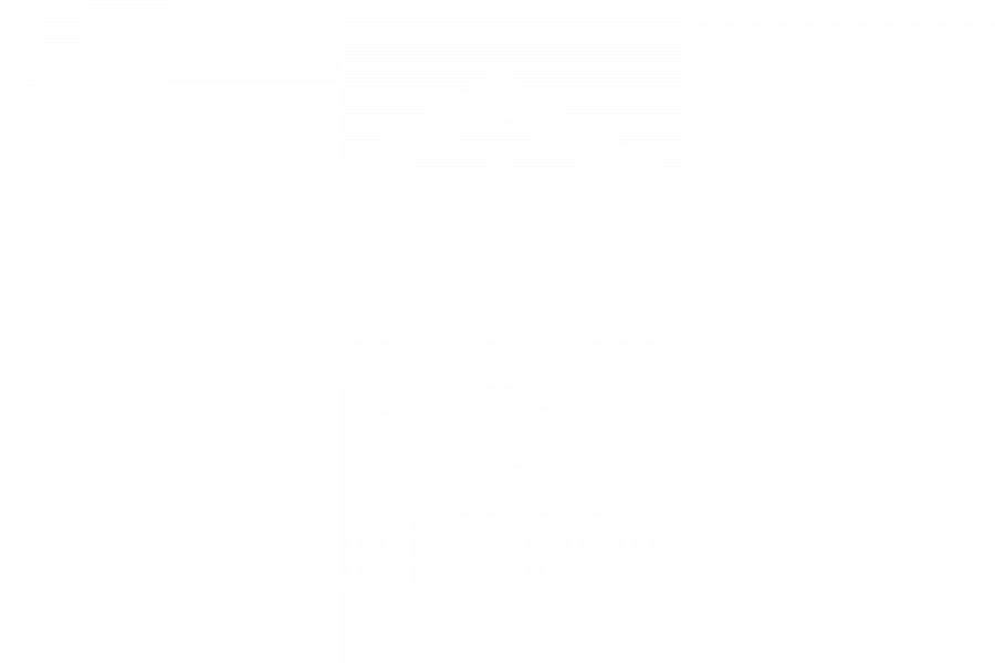 BLM Group